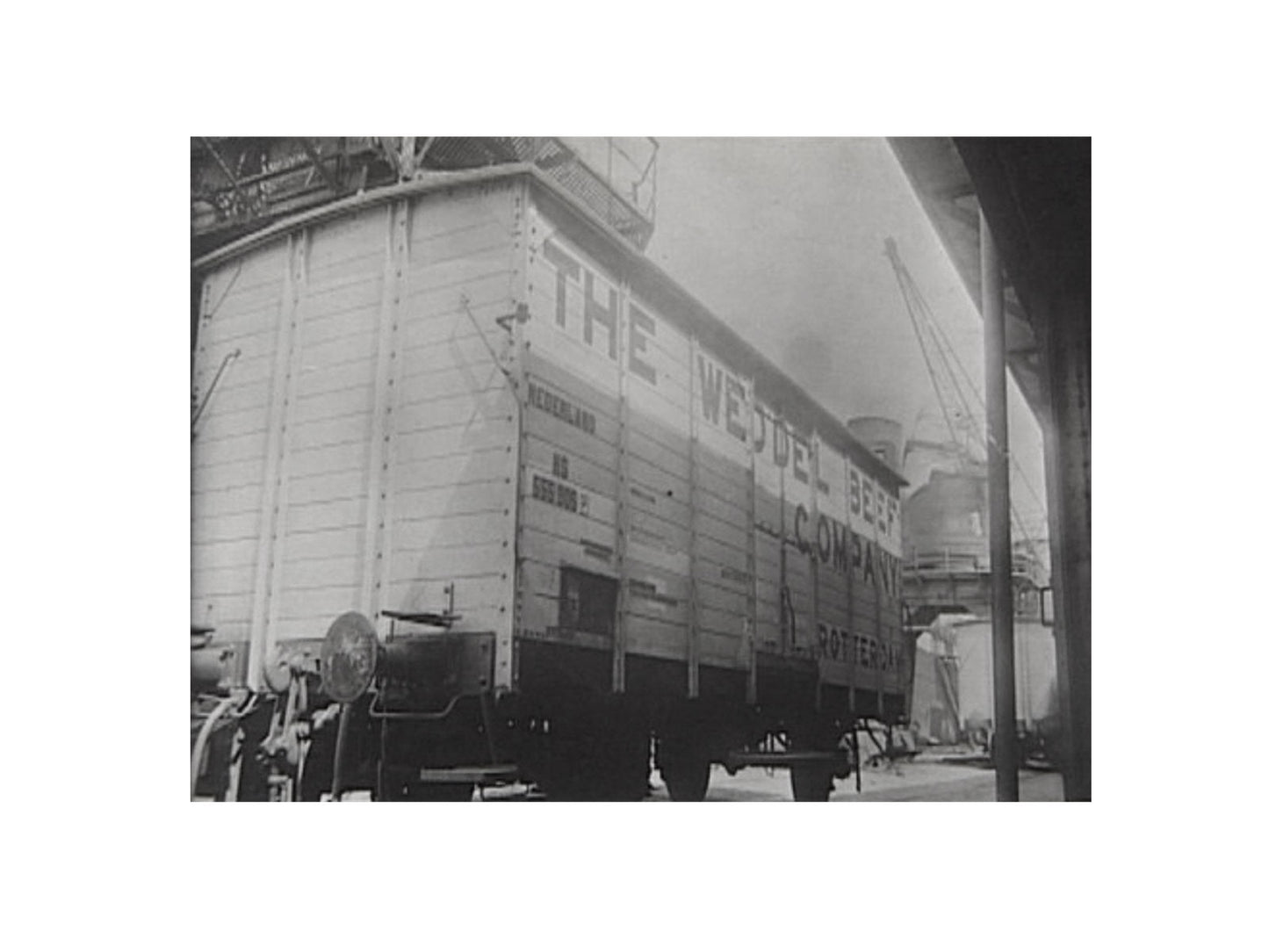 Opschriften voor koelwagen "Weddel Beef" (1924-1940) Art. T-20p19  NIEUW